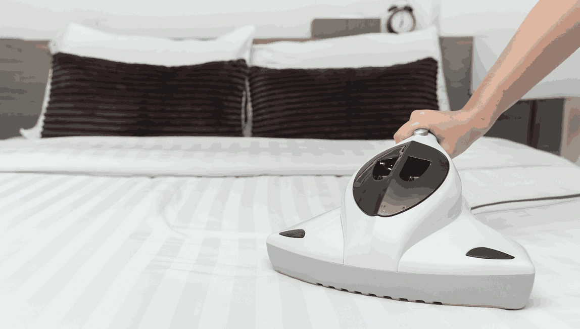 Professional Mattress Cleaning Pheasant Creek